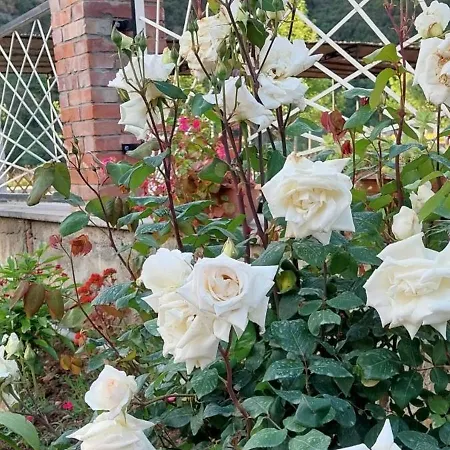 Campeggio Myzyri Zhaban