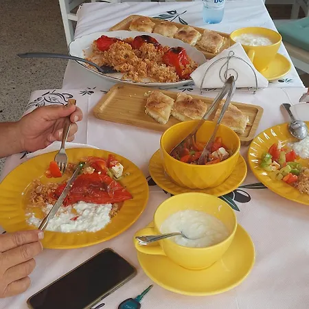 Myzyri Campsite Corovode